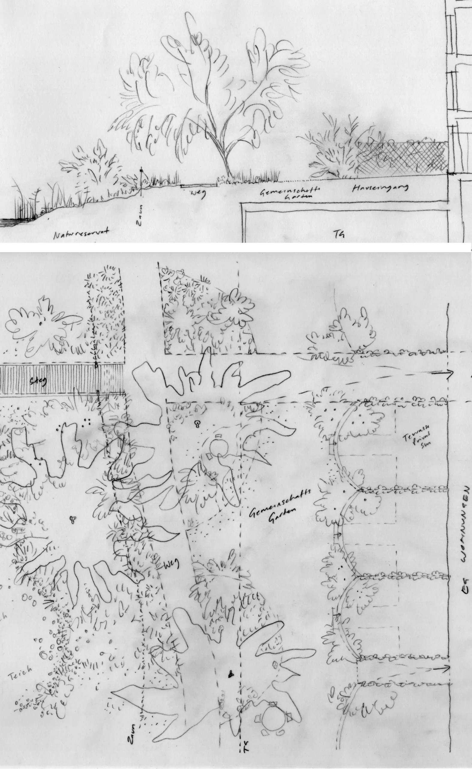 1:100 sketch studies of transition from private to public areas