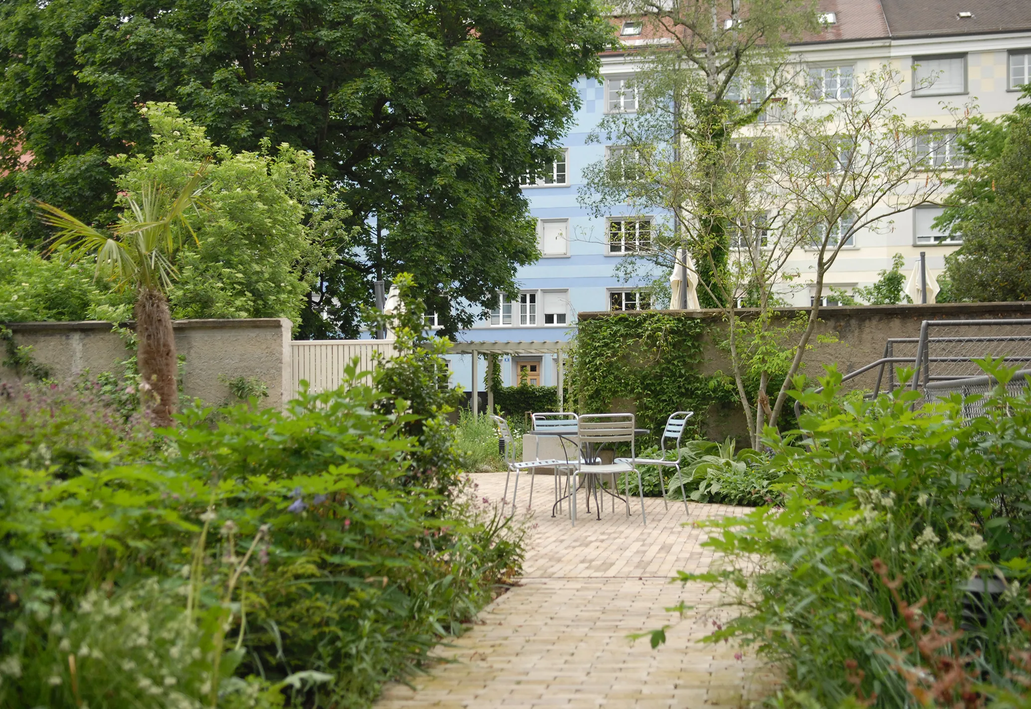 Photograph of the completed garden in 2025