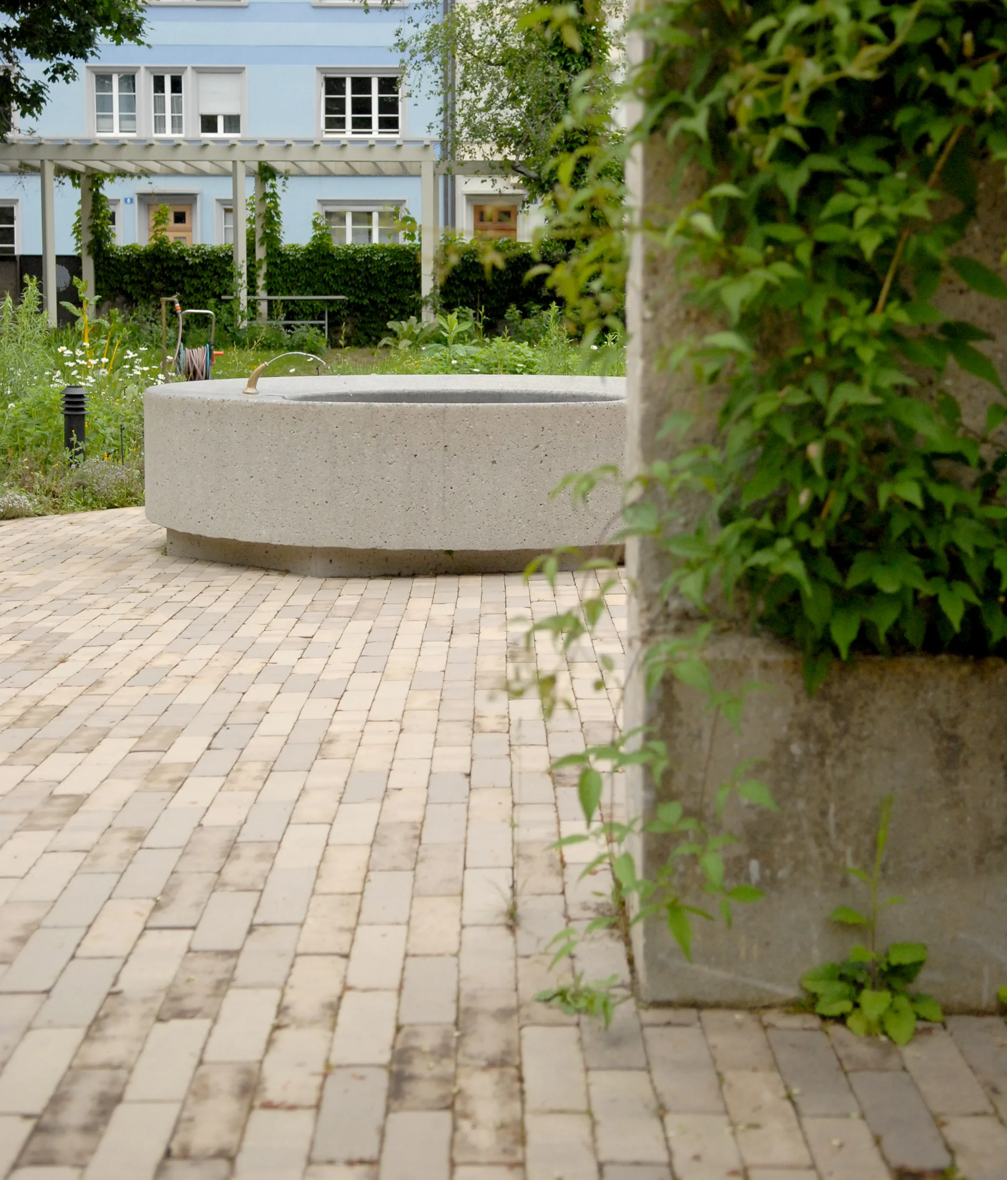 Photograph of the completed garden in 2025