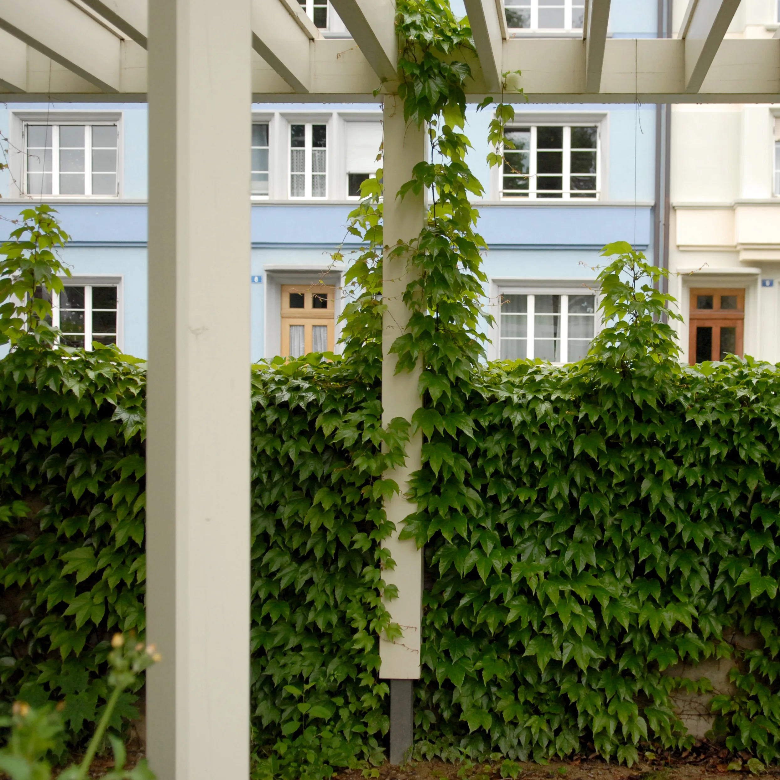 Photograph of the completed garden in 2025