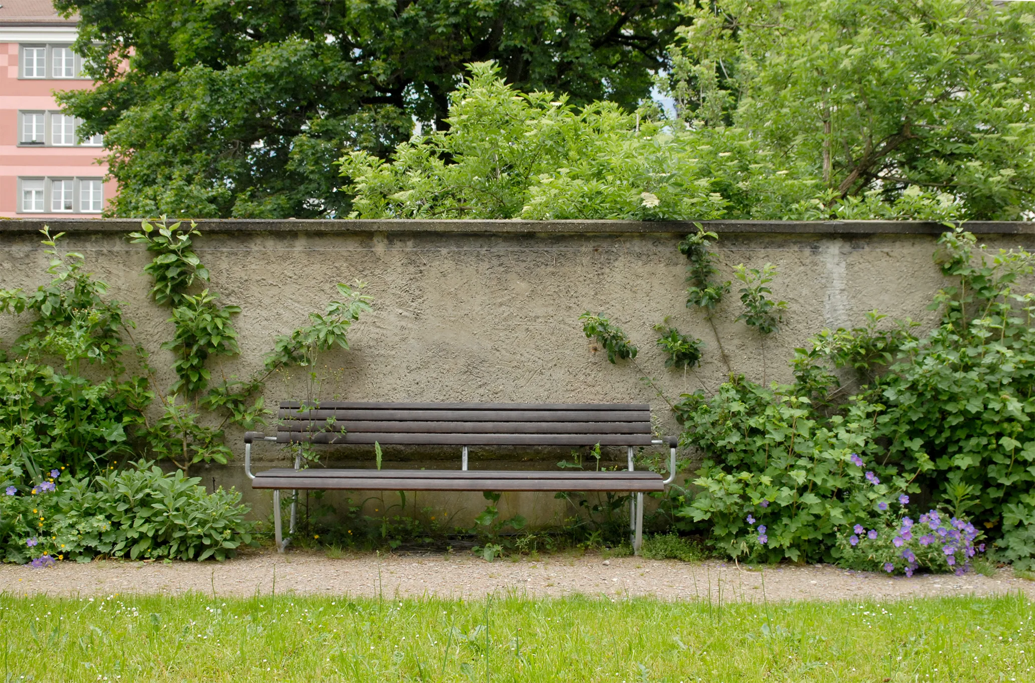 Photograph of the completed garden in 2025