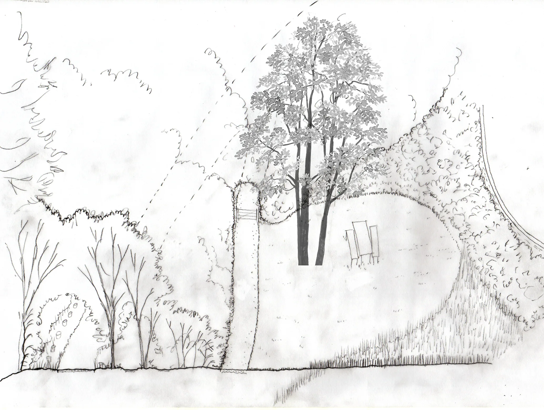 1:100 axonometric sketch of proposed path along woodland edge