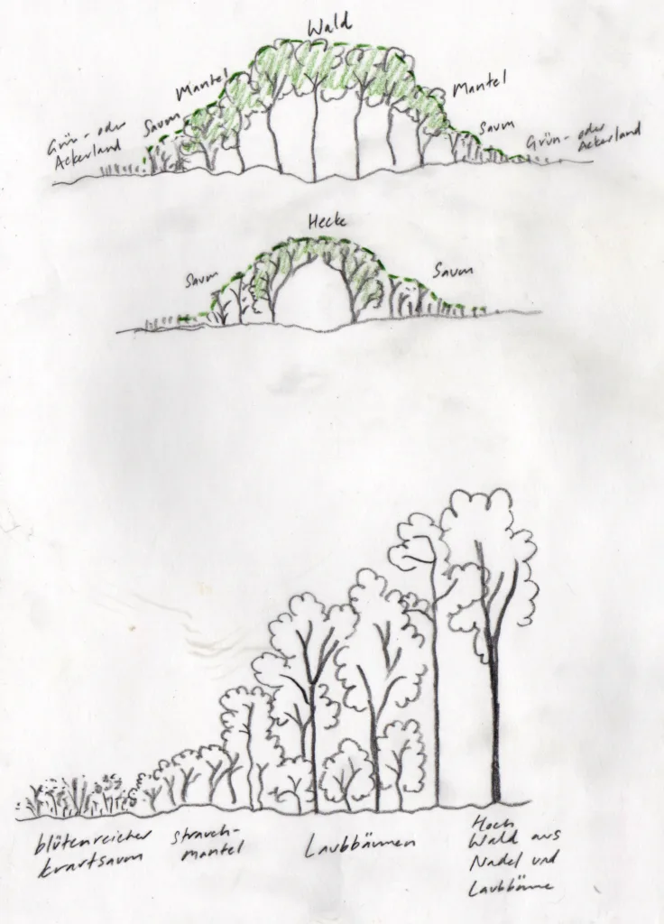 Concept sketch