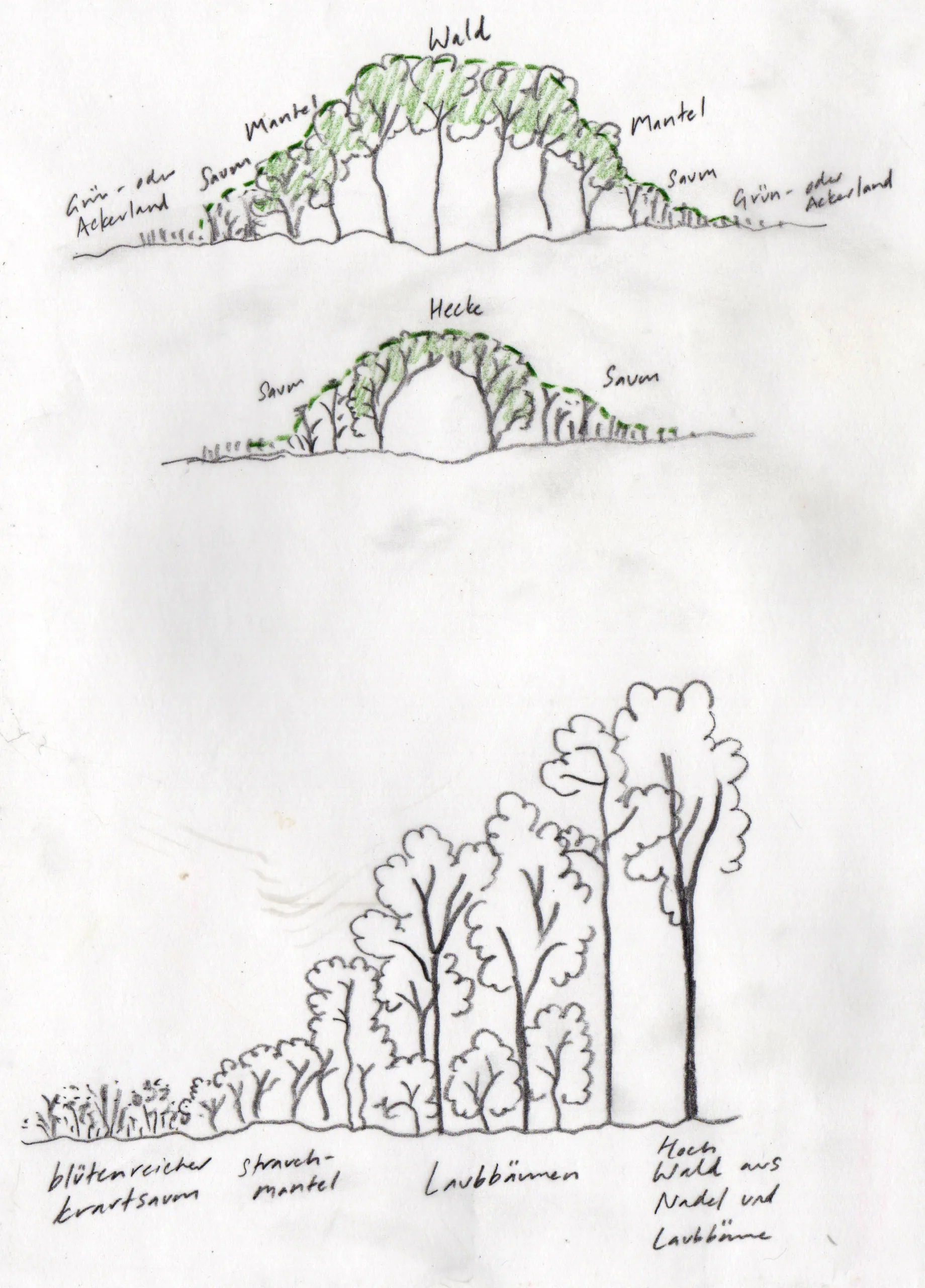 Concept sketch