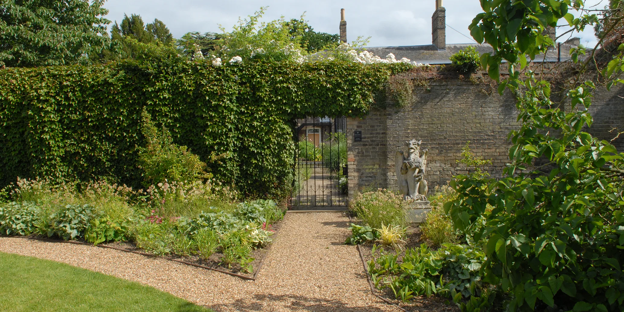Photograph of the garden in 2024
