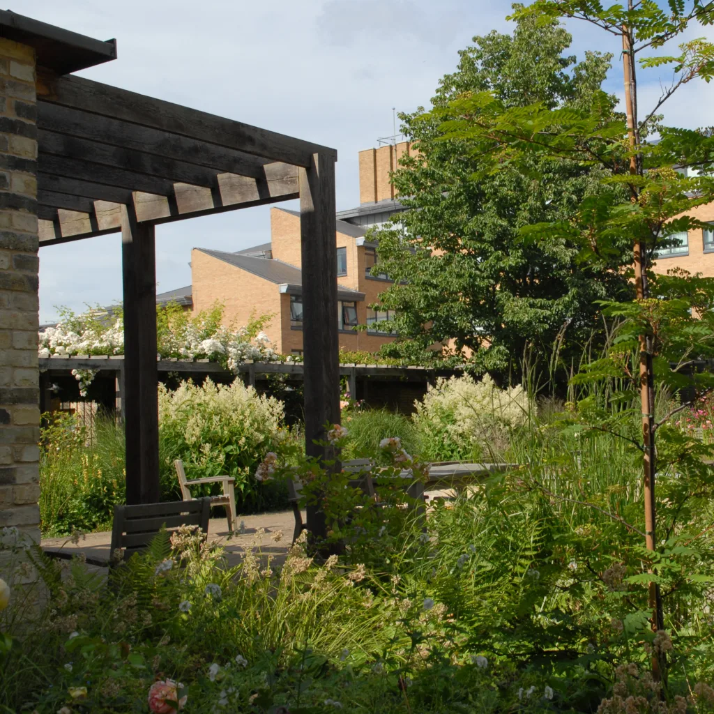 Photograph of the garden in 2024