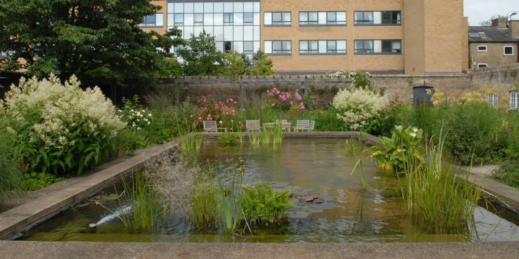 Photograph of the garden in 2024
