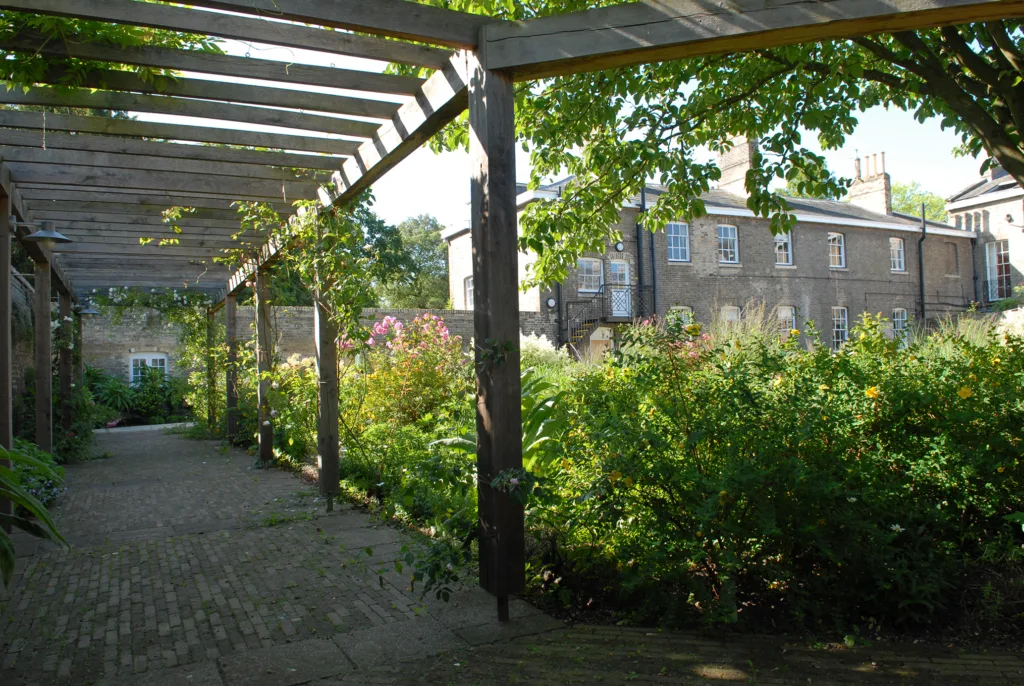 Photograph of the garden in 2024