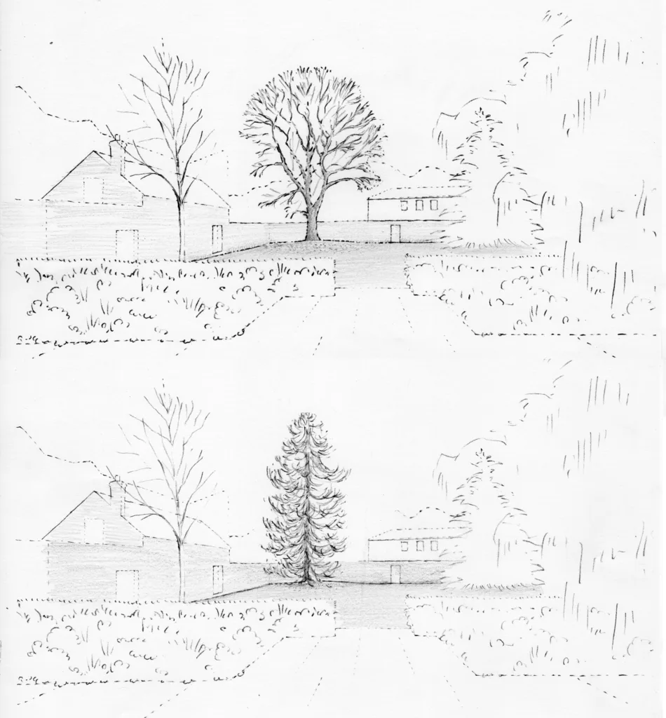Comparison sketches for future tree
