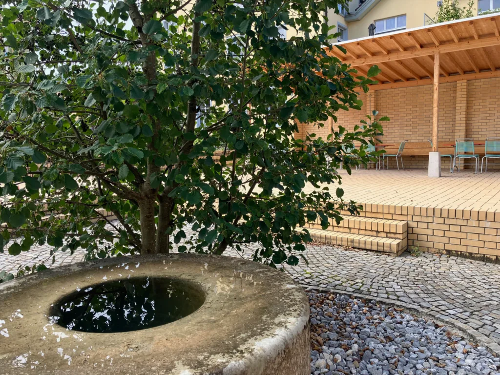Photograph of finished gardens in 2022