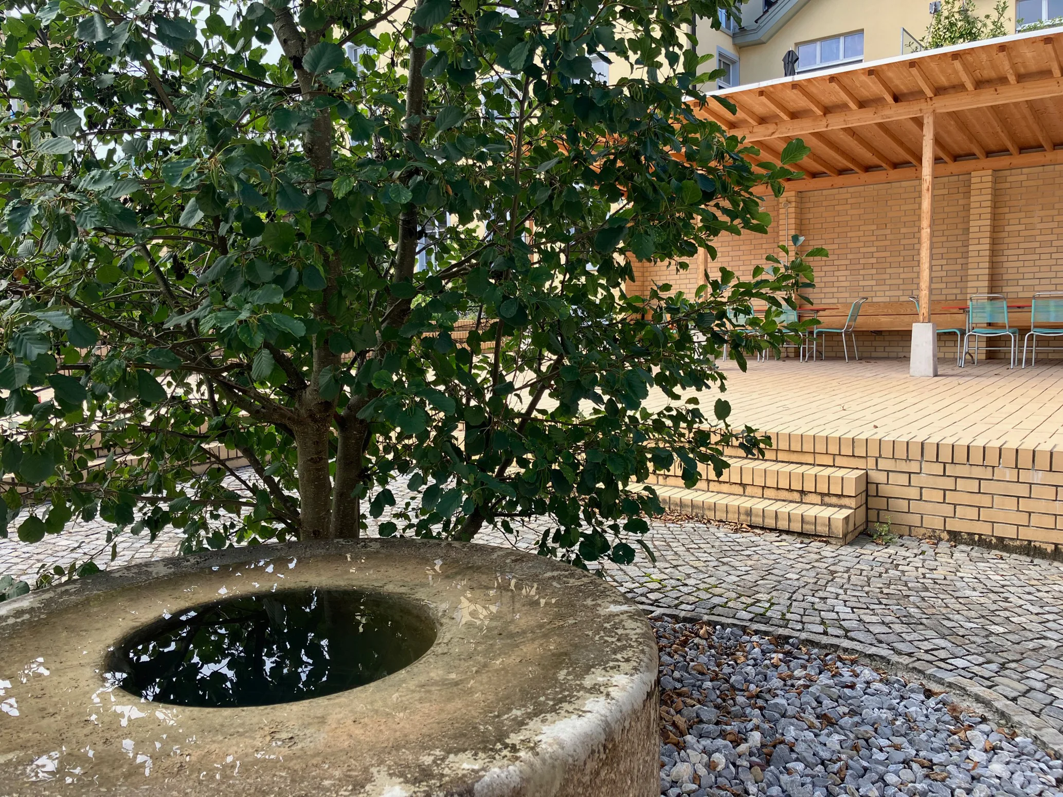 Photograph of finished gardens in 2022
