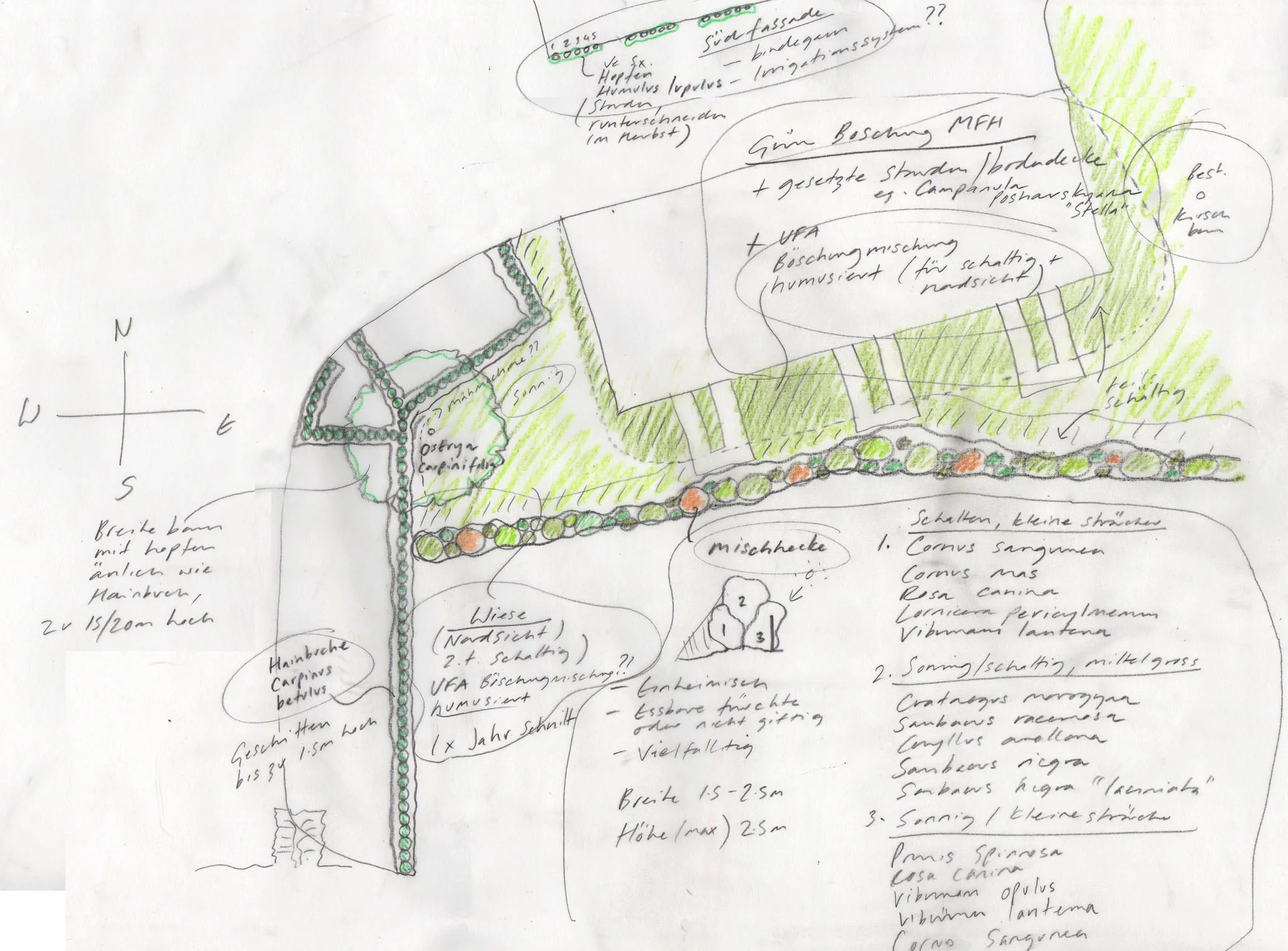1:200 sketch plan of planting concept